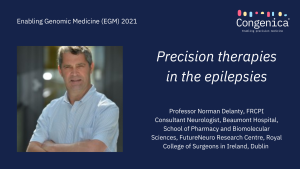 Precision therapies in the epilepsies